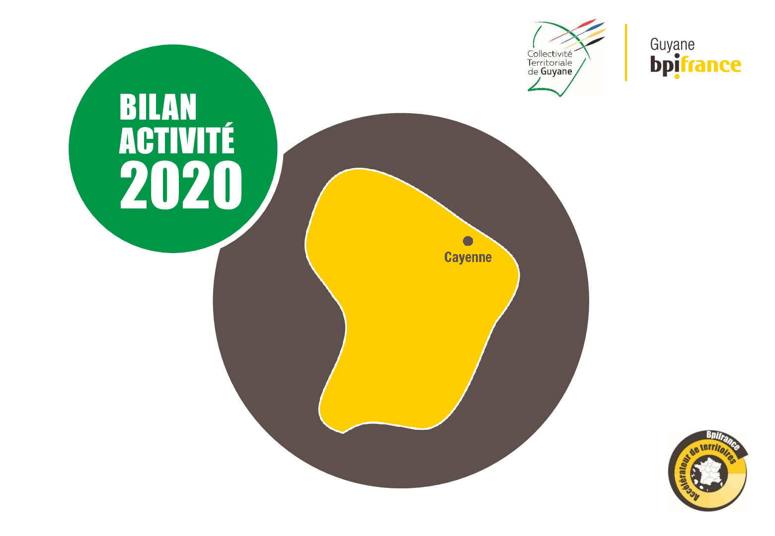 Bilan dactivite 2020 Bpifrance Guyanne-pdf