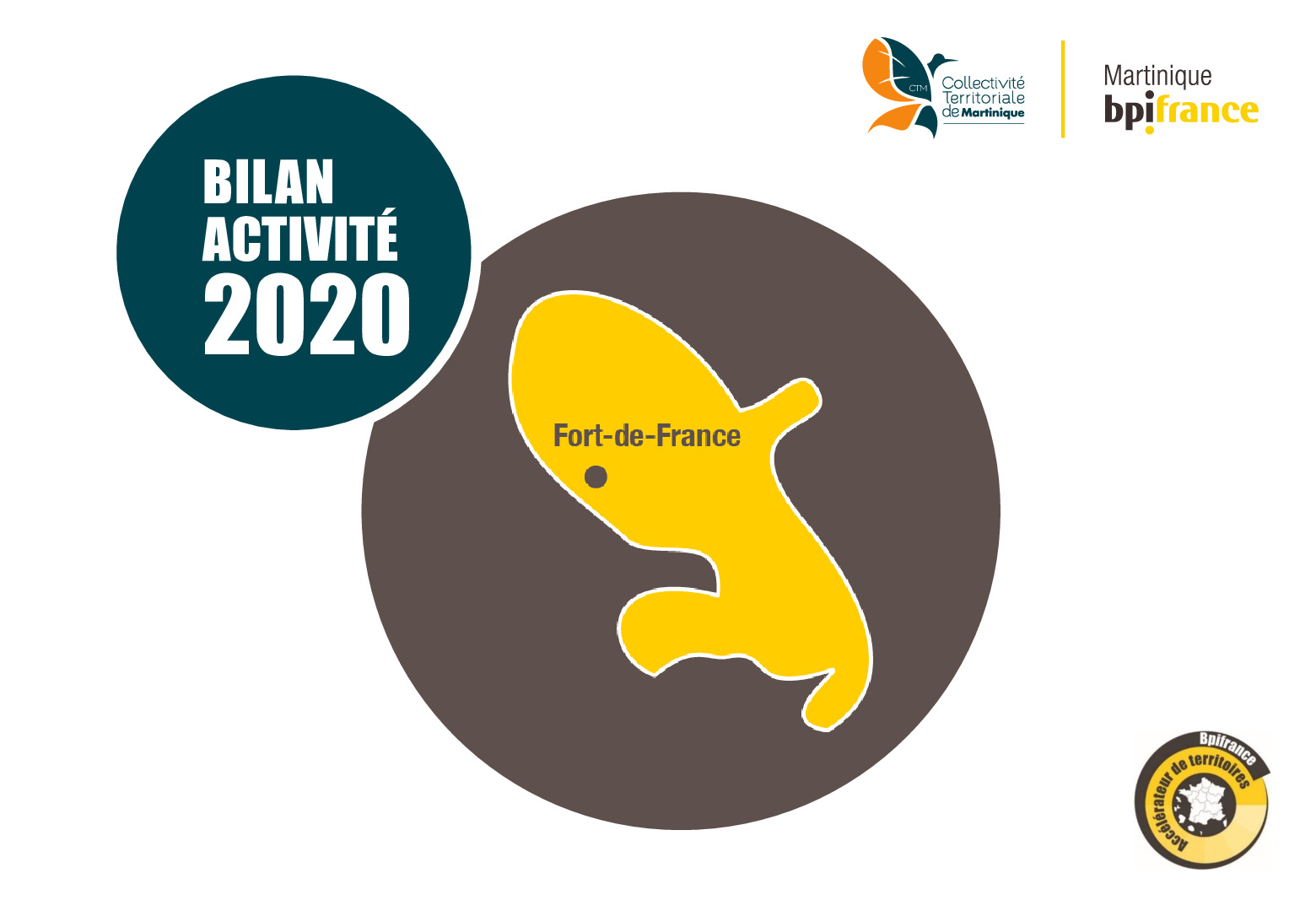 Bilan dactivite 2020 Bpifrance Martinique-pdf