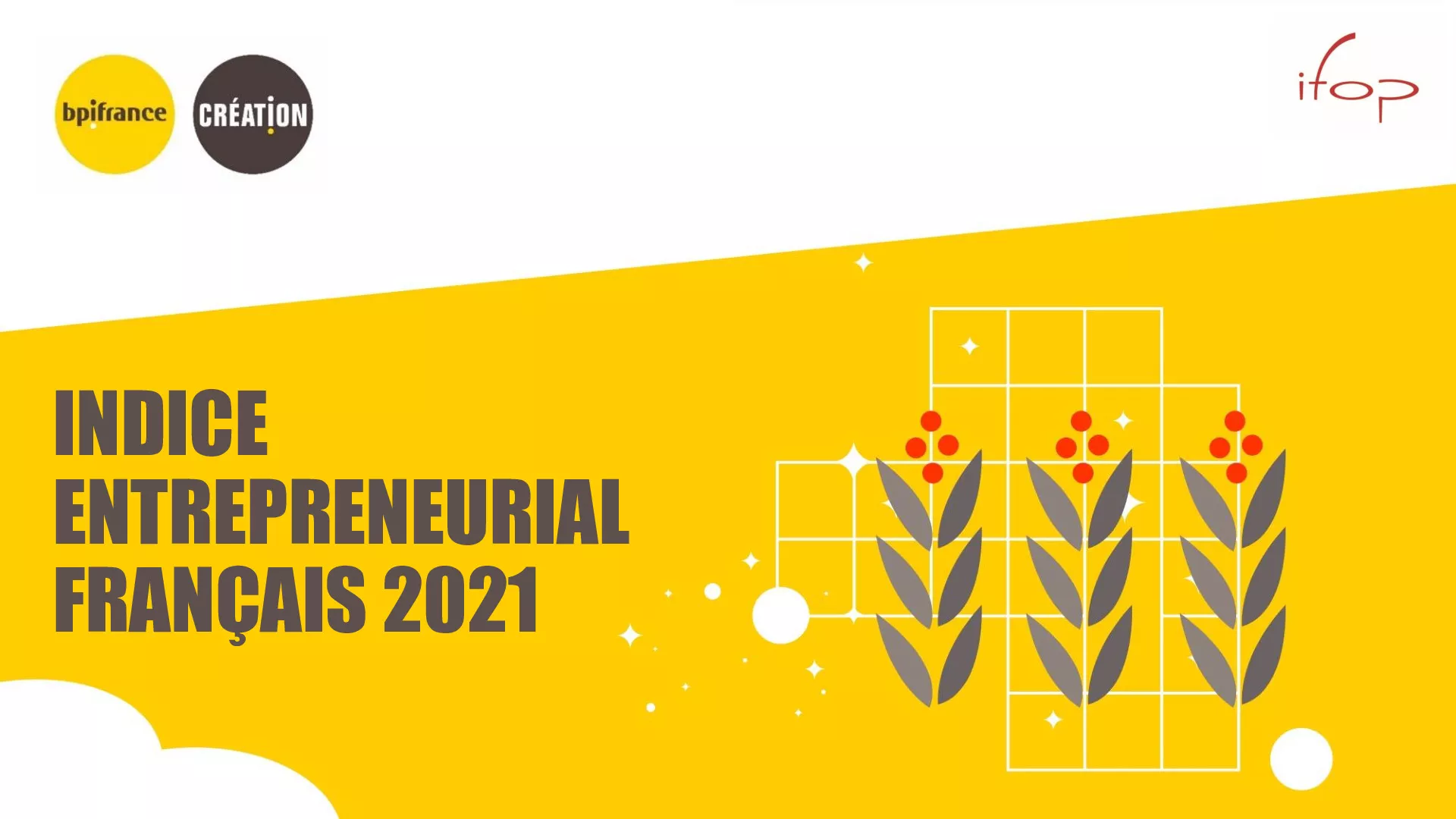 IEF2021Rapport France-pdf