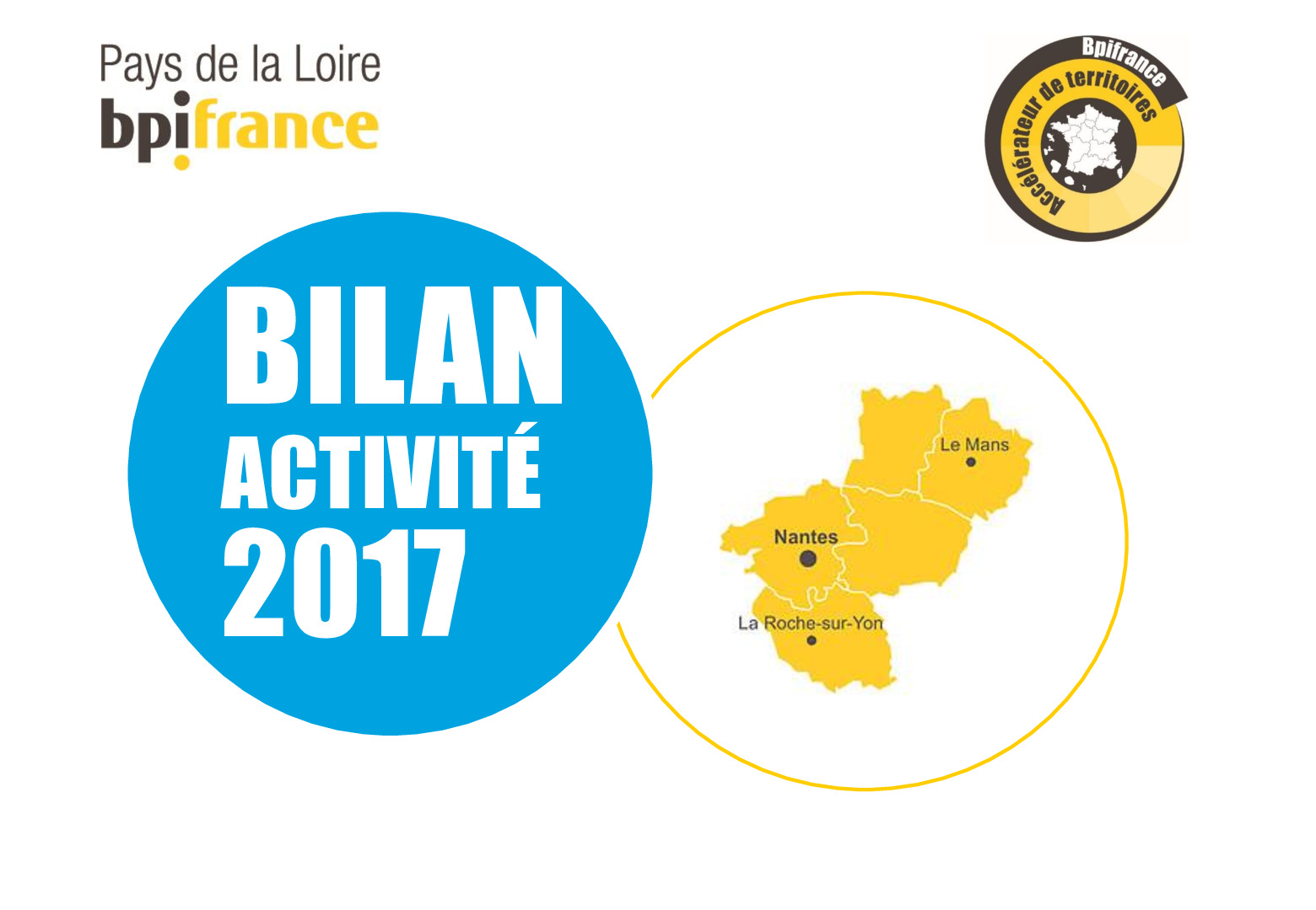 DEFBILAN ACTIVITE 2017PDL-pdf