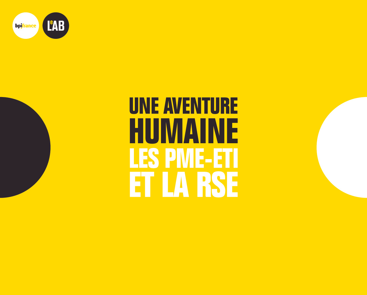 Bpifrance Le LabRSE UNE AVENTURE HUMAINEVERSION WEB110X177022018PG7-pdf