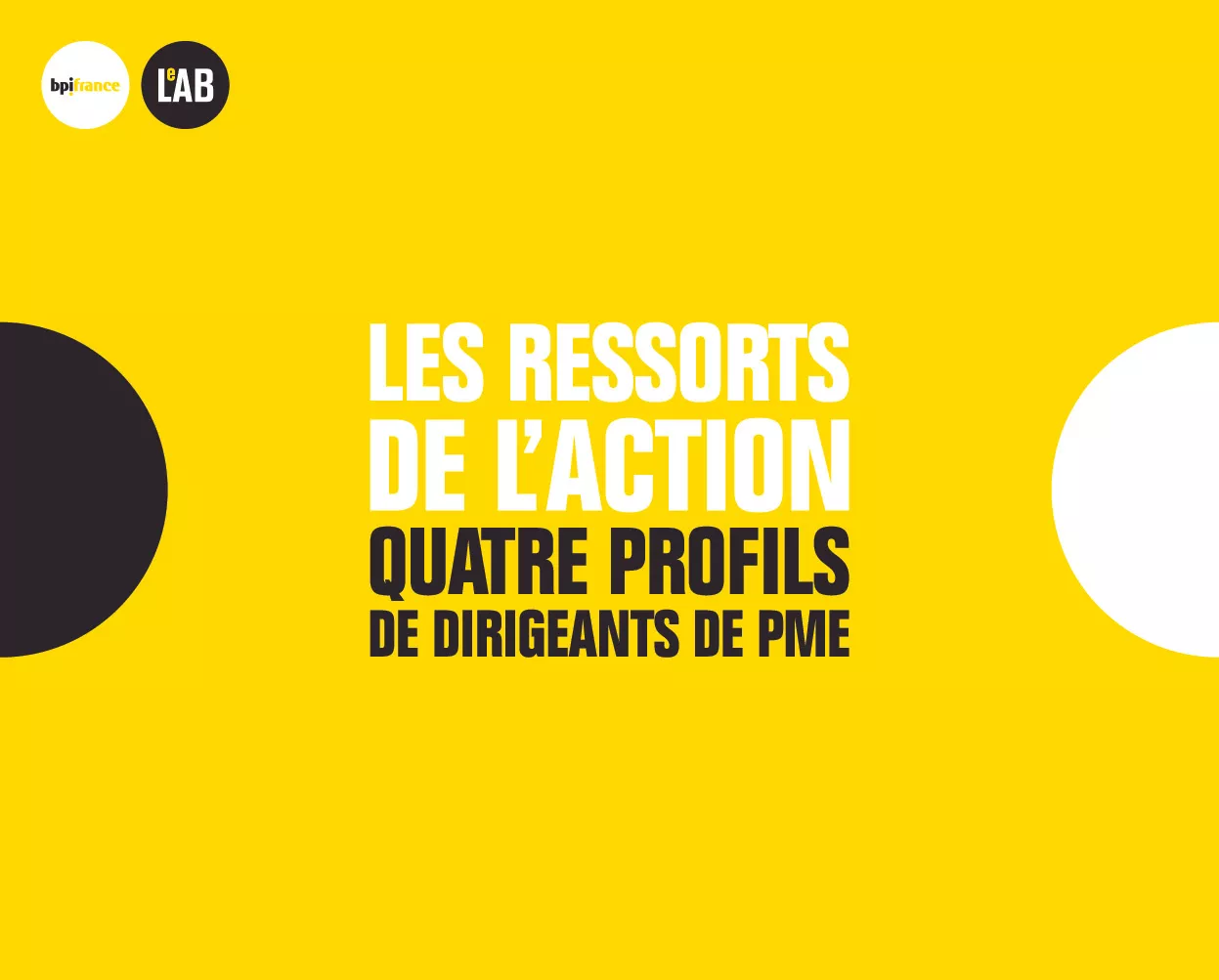 Bpifrance Le Lab – Enquete Profilage des dirigeants de PME-pdf